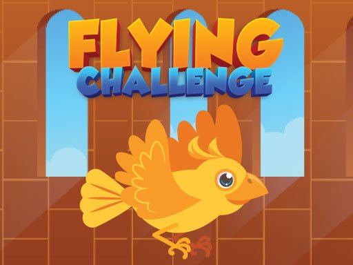 Flying Challenge Land
