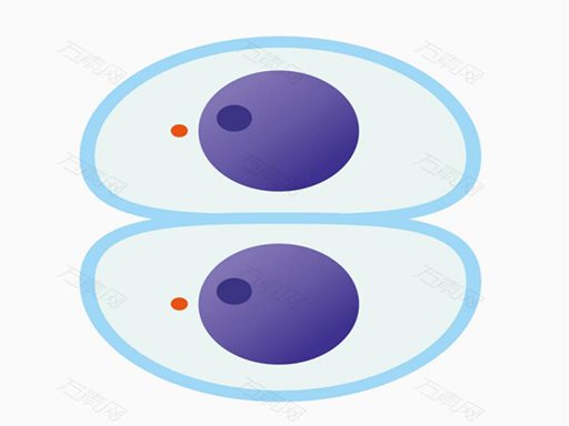 Cutting master Saga Land