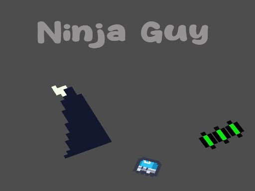Ninja Guy Land Fun