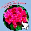 Round jigsaw Puzzle - Collect the Flower Battle Story