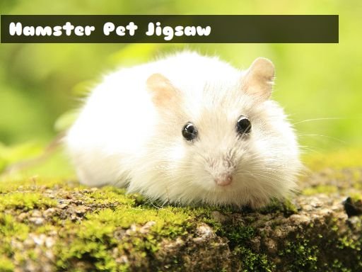 Hamster Pet Jigsaw Odyssey