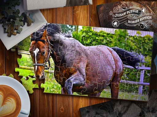Jigsaw Puzzle Horses Edition Race Odyssey