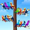 Bird Sort Color Puzzle Game Story