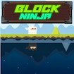  Block Ninja Land Escape
