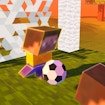 Block Head Soccer Race Adventure