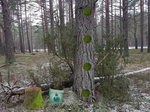Return To The Frozen Forest Story