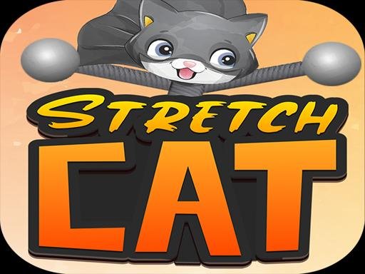 STRETCH CAT 3D Fun