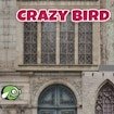 CrazyBirdCity Challenge Land